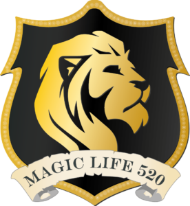 Logoentwicklung goldener Löwe auf schwarzem Schild für Magic Life 520 Academy